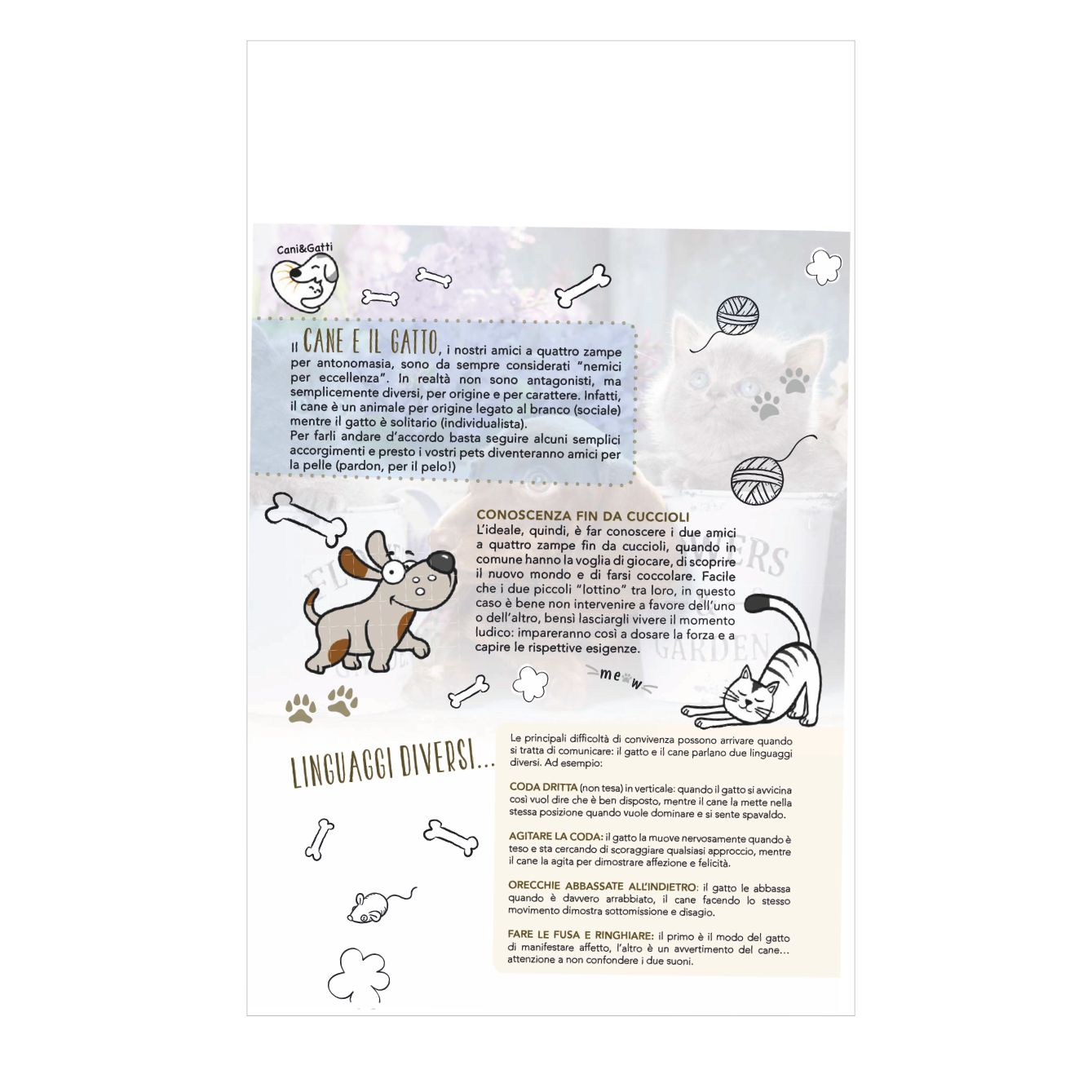 B/77 - CALENDARIO CANI E GATTI